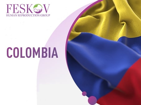 gestación subrogada colombia imagen