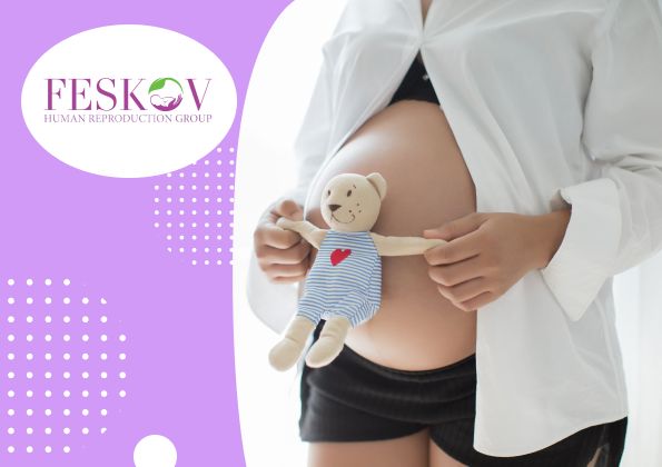 ¿Qué son los folículos ováricos y por qué son importantes para mi fertilidad? - 1
