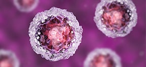 Tratamiento con células madre en la FIV Tratamiento con células madre en la FIV
