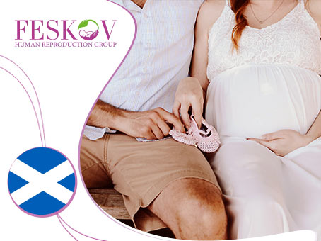 un blog: Donación de óvulos en Escocia imagen